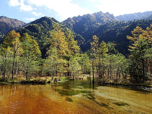 秋遊日本:上高地大正池.田代池