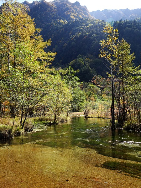 秋遊日本:上高地大正池.田代池