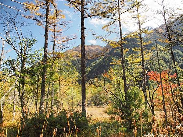 秋遊日本:上高地大正池.田代池