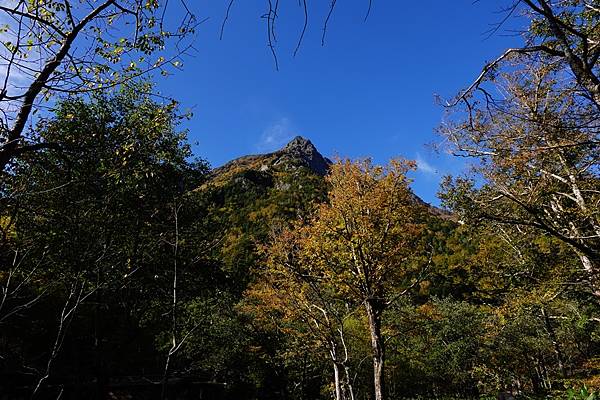 秋遊日本:上高地明神池