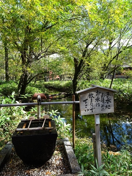 秋遊日本:上高地明神池