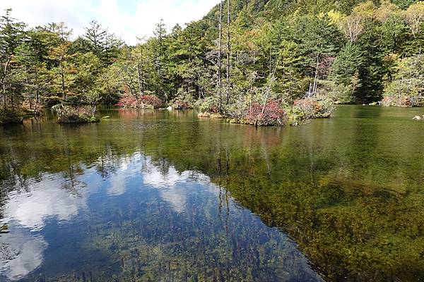 秋遊日本:上高地明神池