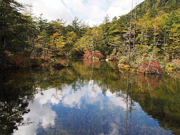 秋遊日本:上高地明神池