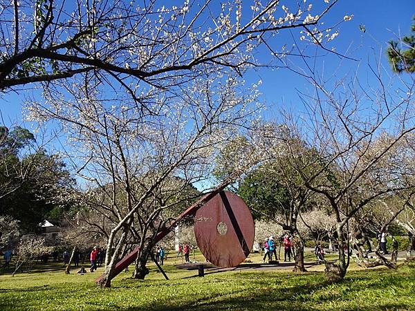 角板山公園梅花季