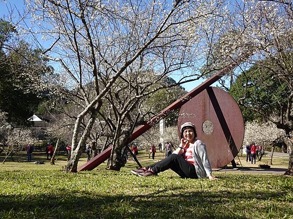 角板山公園梅花季