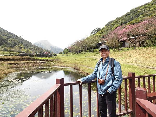 二子坪大屯自然公園櫻花開.陽明山秘境咖啡館--山上聊