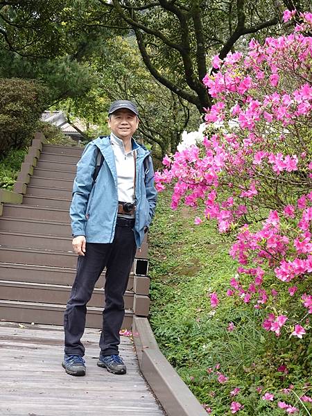 二子坪大屯自然公園櫻花開.陽明山秘境咖啡館--山上聊