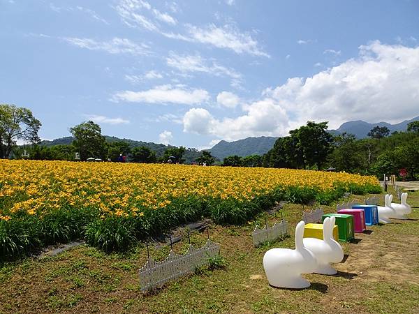 桃園賞花行:大溪百吉金針花海.台七桃花源繡球花季.瑞士鄉村農