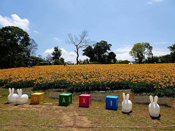 桃園賞花行:大溪百吉金針花海.台七桃花源繡球花季.瑞士鄉村農