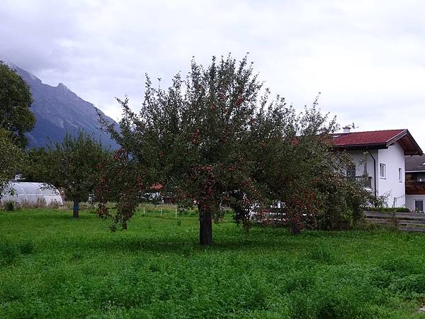 多洛米蒂健行之旅:奧地利因斯布魯克(Innsbruck)老城