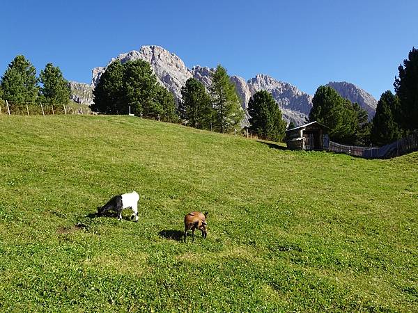 多洛米蒂健行之旅:義大利加爾代納山谷綠野遊蹤--Col Ra