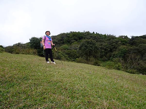 風擎步道(風櫃嘴--擎天崗)賞秋芒