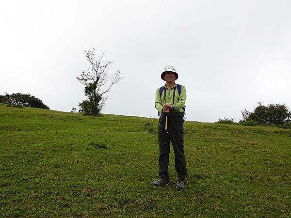 風擎步道(風櫃嘴--擎天崗)賞秋芒