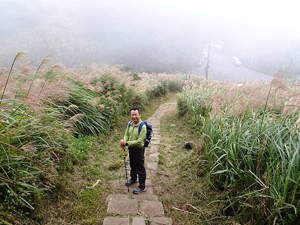 風擎步道(風櫃嘴--擎天崗)賞秋芒