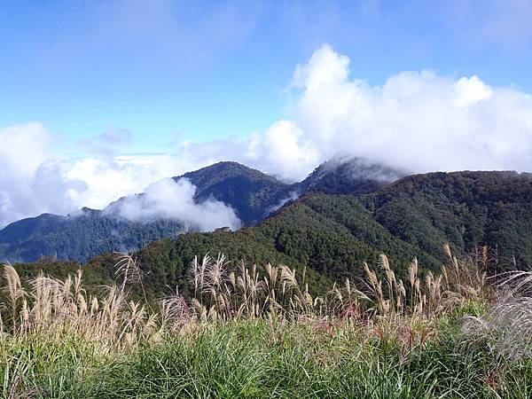 太平山台灣山毛櫸國家步道