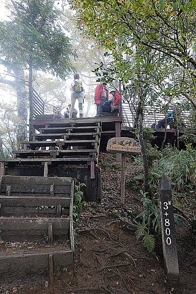 太平山台灣山毛櫸國家步道