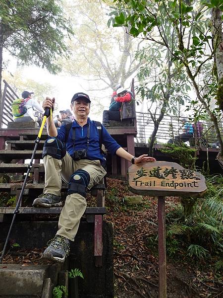 太平山台灣山毛櫸國家步道