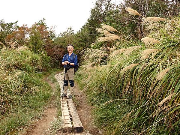 太平山台灣山毛櫸國家步道