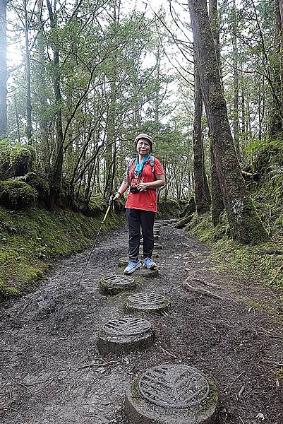 太平山台灣山毛櫸國家步道