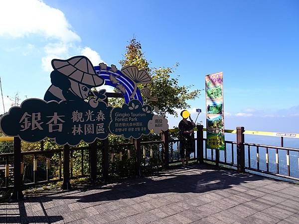 銀杏森林步道秋季金黃浪漫