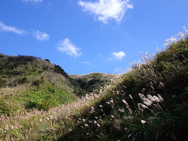 金瓜石山海美景:本山地質公園.無敵海景步道