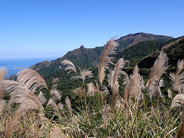 金瓜石山海美景:本山地質公園.無敵海景步道