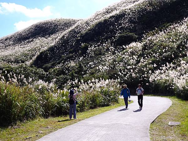 金瓜石山海美景:本山地質公園.無敵海景步道