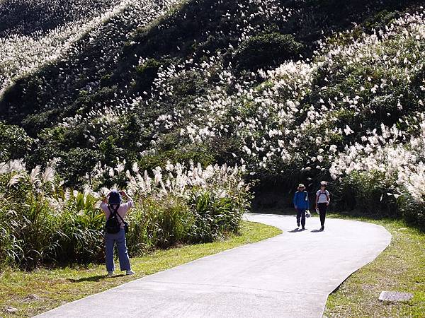 金瓜石山海美景:本山地質公園.無敵海景步道