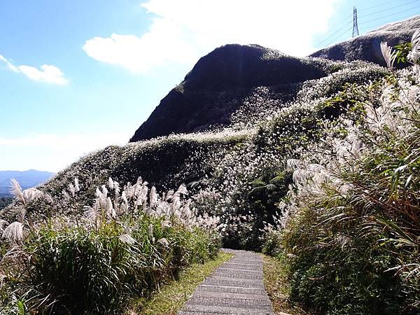 金瓜石山海美景:本山地質公園.無敵海景步道