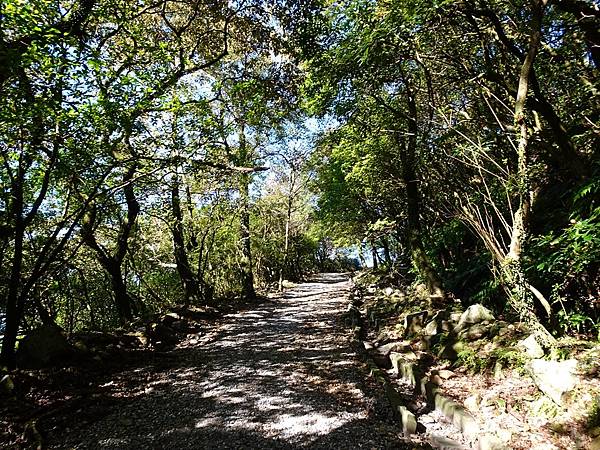 金瓜石山海美景:本山地質公園.無敵海景步道