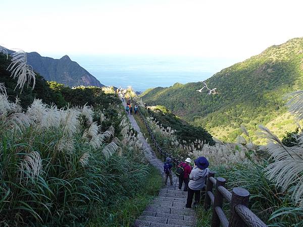 金瓜石山海美景:本山地質公園.無敵海景步道