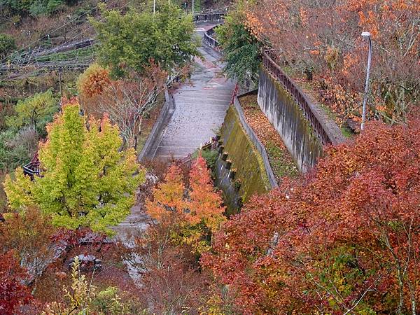 紅葉盛事福壽山農場.梨山楓之谷賞楓行