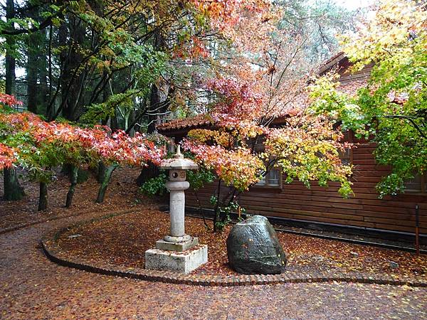 紅葉盛事福壽山農場.梨山楓之谷賞楓行