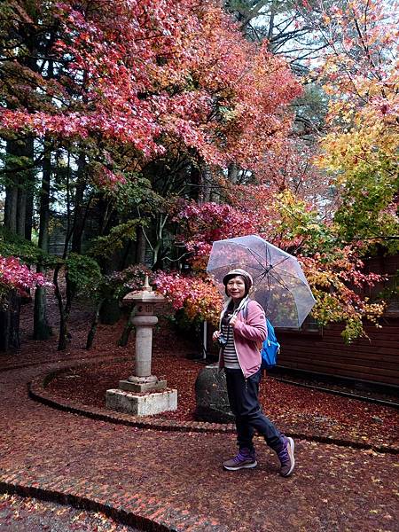 紅葉盛事福壽山農場.梨山楓之谷賞楓行