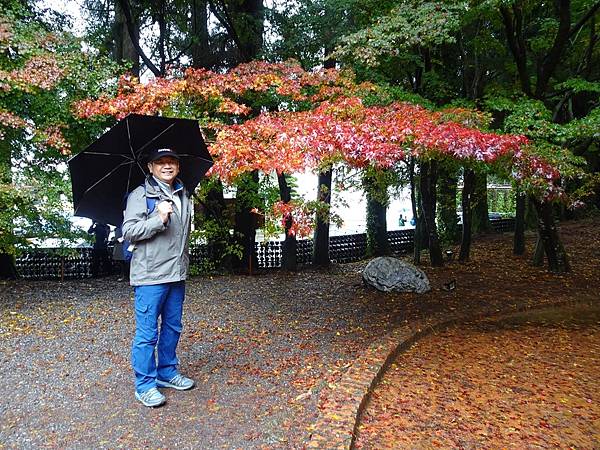 紅葉盛事福壽山農場.梨山楓之谷賞楓行