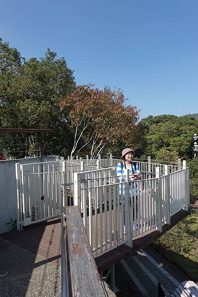 角板山公園梅花季