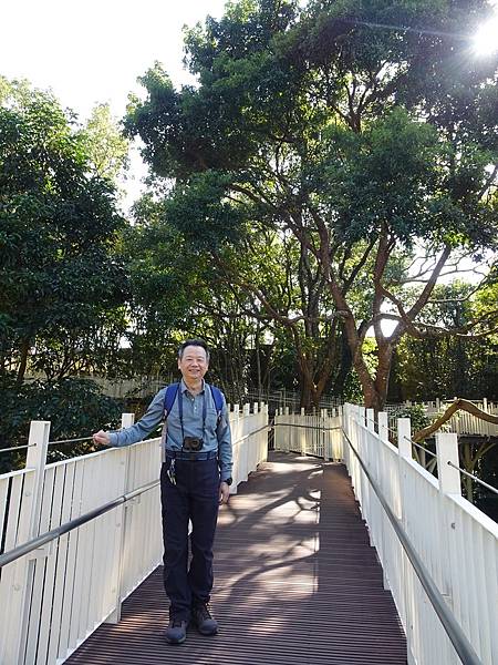 角板山公園梅花季