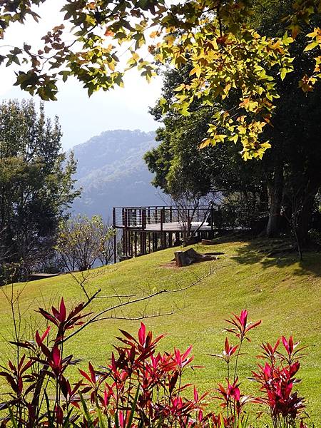 角板山公園梅花季