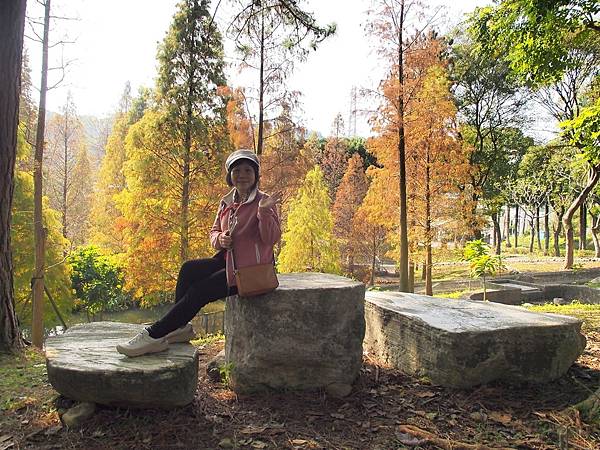 落羽松雙景點連遊:長庚養生文化村.春天農場