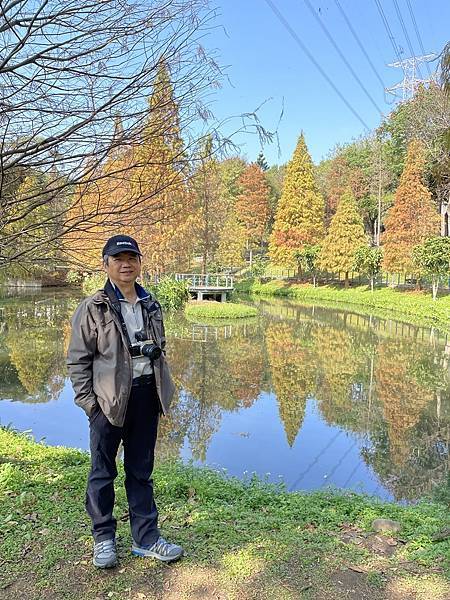 落羽松雙景點連遊:長庚養生文化村.春天農場