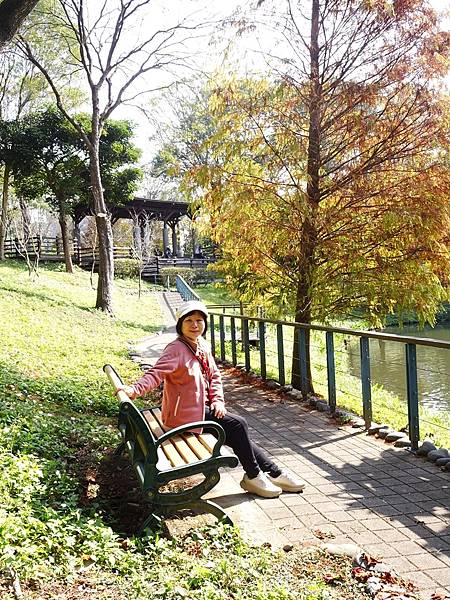 落羽松雙景點連遊:長庚養生文化村.春天農場