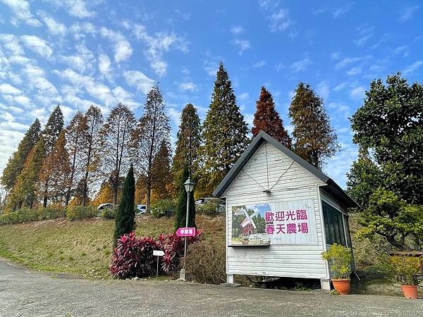 落羽松雙景點連遊:長庚養生文化村.春天農場