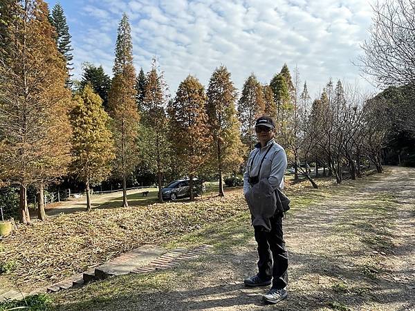 落羽松雙景點連遊:長庚養生文化村.春天農場