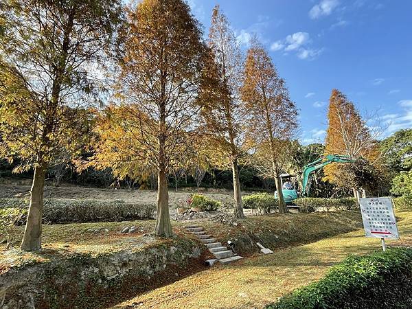 落羽松雙景點連遊:長庚養生文化村.春天農場