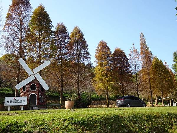 落羽松雙景點連遊:長庚養生文化村.春天農場