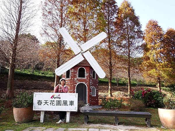 落羽松雙景點連遊:長庚養生文化村.春天農場