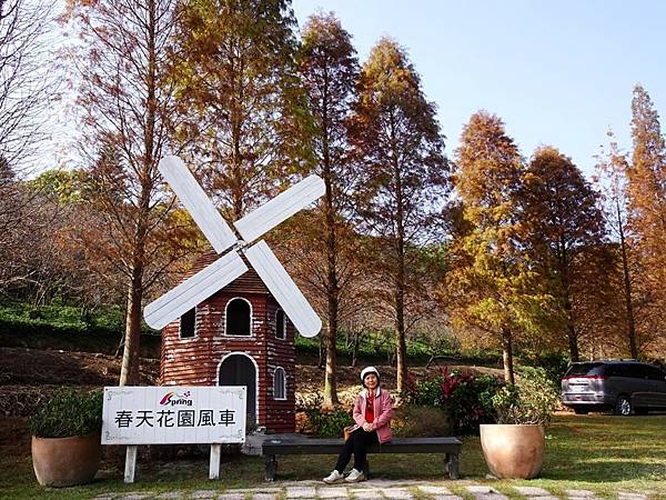 落羽松雙景點連遊:長庚養生文化村.春天農場