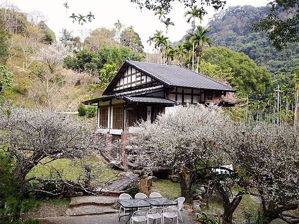 新社梅林親水岸賞梅順遊風林谷.安妮公主花園.白冷圳紀念公園