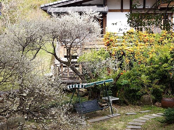 新社梅林親水岸賞梅順遊風林谷.安妮公主花園.白冷圳紀念公園