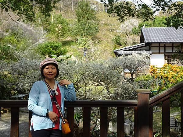 新社梅林親水岸賞梅順遊風林谷.安妮公主花園.白冷圳紀念公園